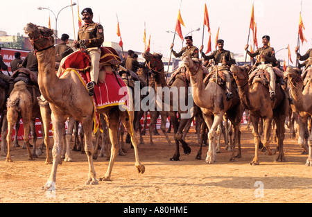 Indien, Neu-Delhi, Uttar Pradesh Militärparade Stockfoto