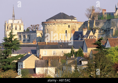 Frankreich, Indre et Loire, Amboise, Stadt und Burg von Clos Luce aus gesehen Stockfoto