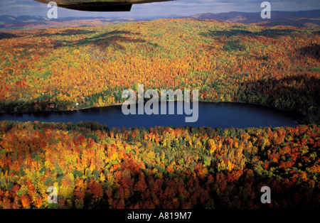 Kanada, Provinz Quebec, Laurentian Forest im Herbst (Luftbild) Stockfoto