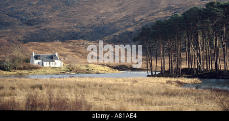 Loch Eilt Stockfoto