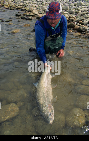 Fliegenfischer Bill Fitzsimmons halten große Steelhead vor Veröffentlichung Dean River British Columbia Stockfoto