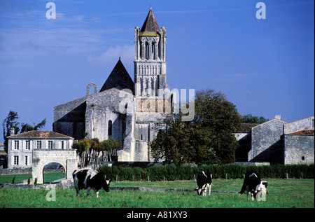 Frankreich, Charente Maritime, Sablonceaux Abtei aus dem 12. Jahrhundert Stockfoto