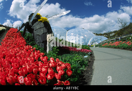 Garten - Eden Project, Cornwall, ENGLAND Stockfoto