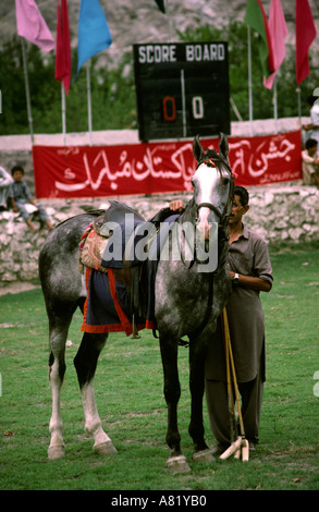 Pakistan Azad Kaschmir Gilgit Sport Polo Pony und Anzeigetafel vor dem Spiel Stockfoto