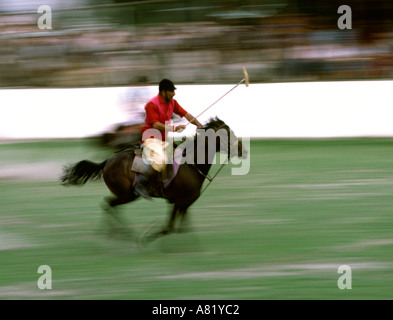 Pakistan Azad Kaschmir Gilgit Sport verschwommene galoppierenden Polo Pony während Spiel Stockfoto