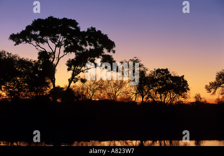 Botswana, Sonnenuntergang am Okavangodelta Stockfoto