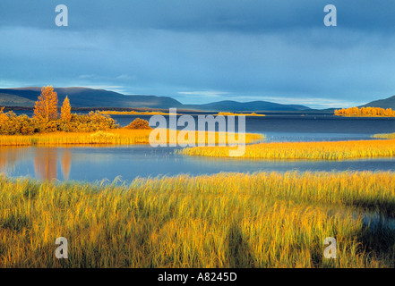 Laponia Weltkulturerbe, Lappland, Schweden Stockfoto