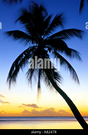 Pigeon Point, Tobago, Caribbean Stockfoto