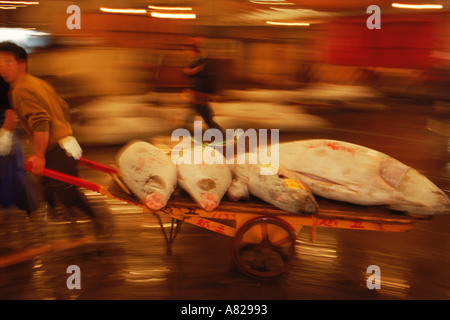 Mann läuft mit gefrorenen Thunfisch auf Wagen in Tokio Fish Market Stockfoto