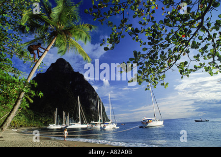 Frau zu Fuß am Sandstrand an der Margretoute Bucht unter Petit Piton Berg auf der Insel St. Lucia in Westindien Stockfoto