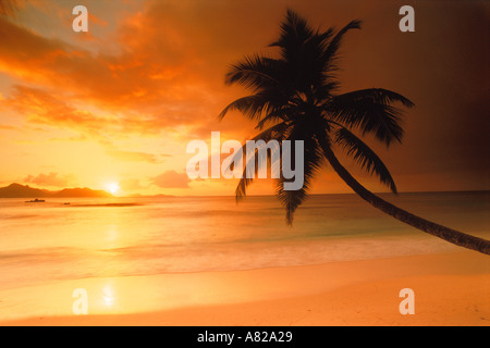 Palme auf La Digue Island auf den Seychellen mit Insel Praslin und Einstellung Sonne am Horizont Stockfoto