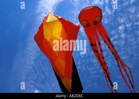 California, Berkeley, Berkeley Kite Festival Stockfoto