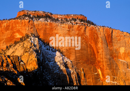 Winter-Sonnenaufgang auf dem West-Tempel über dem Zion Canyon Zion Nationalpark, Utah Stockfoto