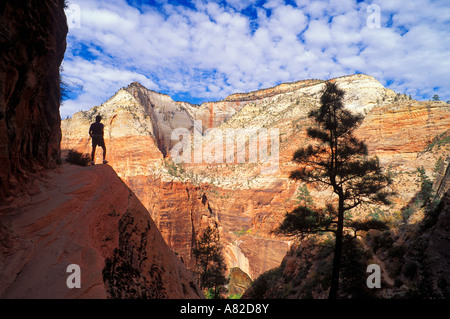 Wanderer, die Silhouette auf dem Hidden Canyon Trail über Zion Canyon Zion Nationalpark, Utah Stockfoto