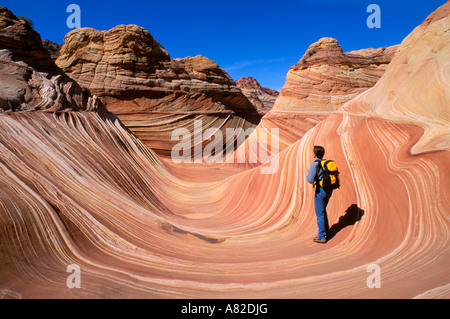 Wanderer auf dem wirbelnden Sandstein auf die Welle im Bereich Coyote Buttes Paria Canyon Vermilion Cliffs Wilderness Arizona/Utah Stockfoto