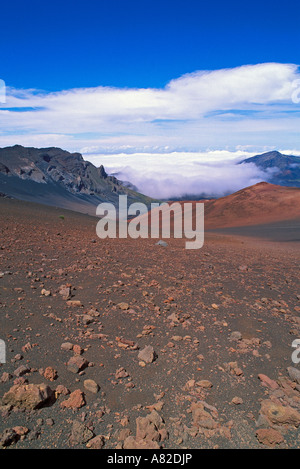 Lava Feld und Asche Kegel über einem Meer der Wolken im Haleakala Krater Haleakala National Park Insel Maui Hawaii Stockfoto