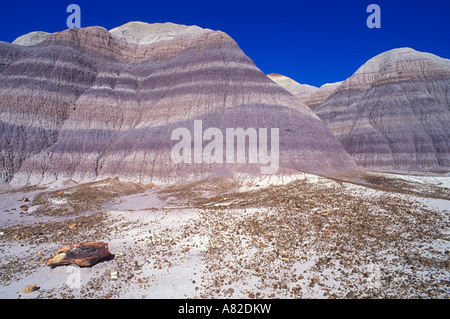 Morgenlicht an bunten Schichten und versteinerten Log Abschnitte über Arizona Blue Mesa Petrified Forest National Park Stockfoto