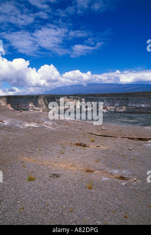 Halemaʻumaʻu-Krater vom East Rim Mauna Loa im Hintergrund Hawaii Volcanoes National Park The Big Island Hawaii Stockfoto