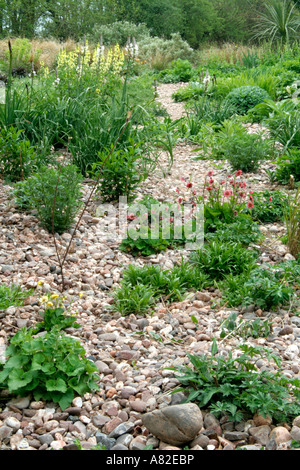 Holbrook den Steingarten im späten April Stockfoto