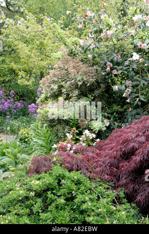 Form und Beschaffenheit sind ein wichtiger Bestandteil der Garten Stockfoto