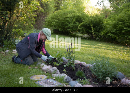 Lake Orion Michigan Mona Scott Pflanzen Blumen im Garten bei ihr zu Hause Stockfoto