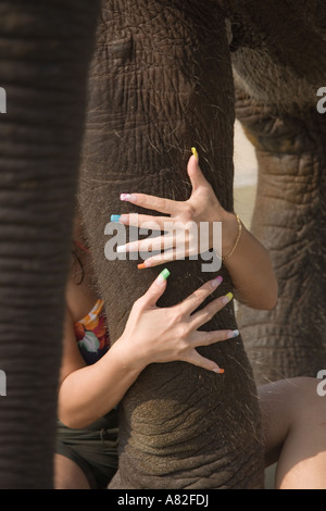 Weibliche Tourist im Sheraton Hotel Krabi Provinz hält junge Elefanten Rüssel, Thailand. Stockfoto