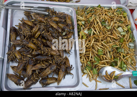 Kakerlaken & Larven für Verkauf thailändischen Markt Stockfoto