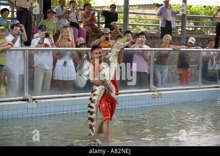 Krokodilschau Siamesisches Krokodil Crocodylus siamensis im Thailand Zoo Stockfoto