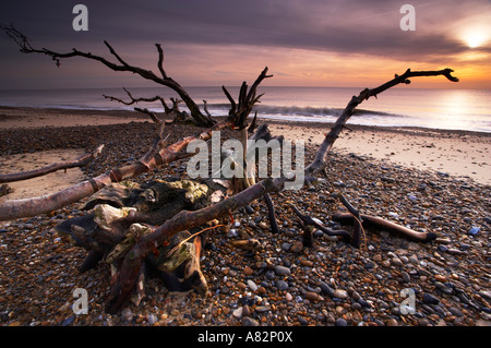 Benacre auf der Küste von Suffolk Stockfoto