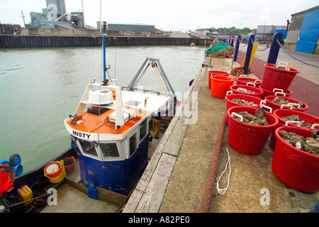 die Tage entladen Fang von Austern Andy Reichtümer an Bord der Oyster Angeln Boot The Misty Oyster Angeln Whitstable Kent fo Stockfoto