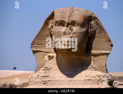 Sphinx Gizeh Ägypten Stockfoto