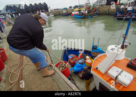 Graham West entladen Tage fangen Andy Reichtümer an Bord der Oyster Angeln Boot The Misty Oyster Angeln Whitstable Kent f Stockfoto