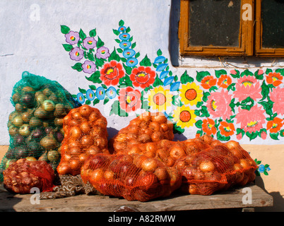 Handbemalte Blumen auf Haus und Zwiebeln in malerischen Zalipie Polen Stockfoto