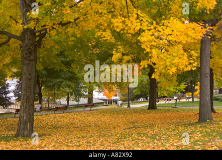 Park, Lake George, New York State, USA Stockfoto