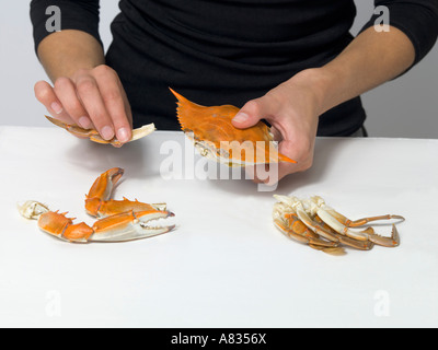 Teil einer Serie von Fotos zeigen richtig hin zu gedämpftem roten Krabben essen Stockfoto