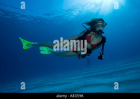 Taucherin mit SCUBAPRO Twin Jet flossen Paradise Reef Divesite Cozumel Mexiko Stockfoto