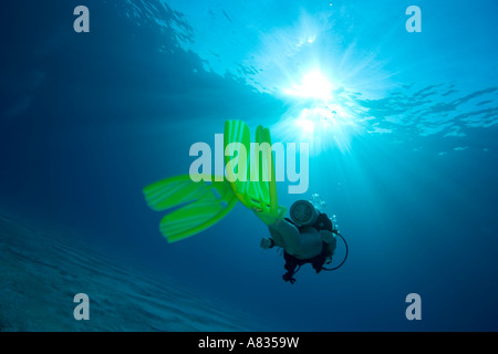 Taucherin mit SCUBAPRO Twin Jet flossen Paradise Reef Divesite Cozumel Mexiko Stockfoto