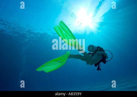 Taucherin mit SCUBAPRO Twin Jet flossen Paradise Reef Divesite Cozumel Mexiko Stockfoto