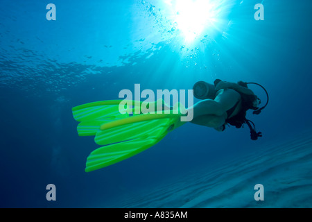 Taucherin mit SCUBAPRO Twin Jet flossen Paradise Reef Divesite Cozumel Mexiko Stockfoto