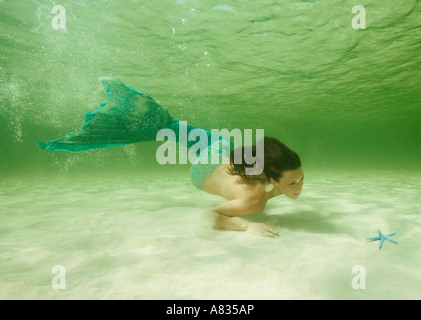 Meerjungfrau im flachen Wasser über Sandboden Conch Baum Strand Cozumel Mexiko Stockfoto