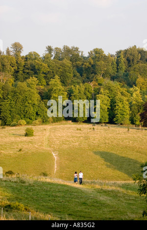 Tring Park - Hertfordshire Stockfoto