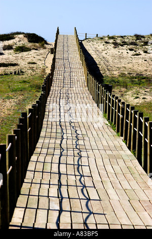 Holzsteg zum Strand führt. Stockfoto