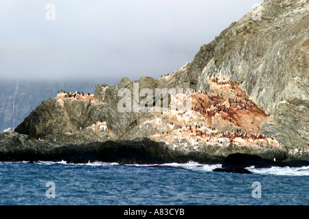 Historic Elephant Island, Antarktis ist die Website von Sir Ernest Shackleton heldenhafte Rettung von 22 seiner Männer Stockfoto