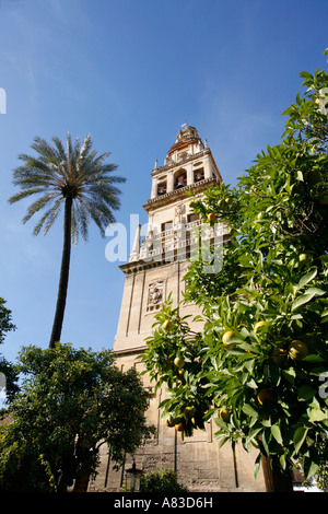 Glockenturm, Moschee, Moschee, Cordoba, Spanien Stockfoto