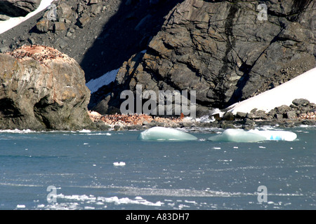 Historic Elephant Island, Antarktis ist die Website von Sir Ernest Shackleton heldenhafte Rettung von 22 seiner Männer Stockfoto