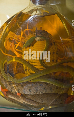 Kambodscha Phnom Penh Schlange in Flasche alkoholisches Getränk Stockfoto