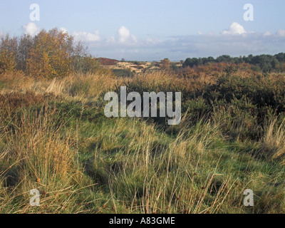 Parkhall Landschaft Park, Stoke-On-Trent Stockfoto
