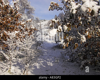 Weihnachts-Szene in Parkhall Landschaft Park, Stoke-on-trent Stockfoto