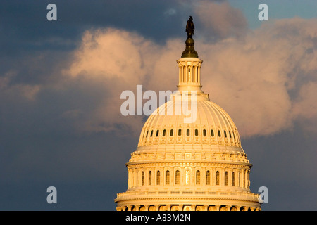 Die Kuppel des United States Capitol Building in Washington D C Stockfoto