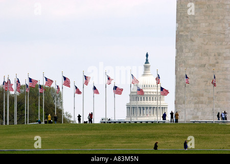 Besucher am Washington Monument mit der Kuppel des United States Capitol Building in Washington D C Stockfoto
